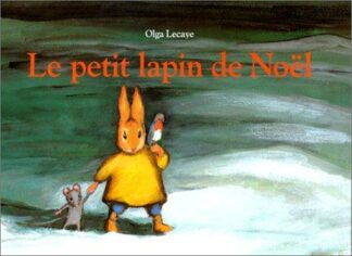 Le petit lapin de Noël