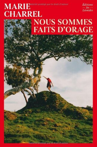 Nous sommes faits d'orage