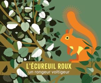 L'écureuil roux
